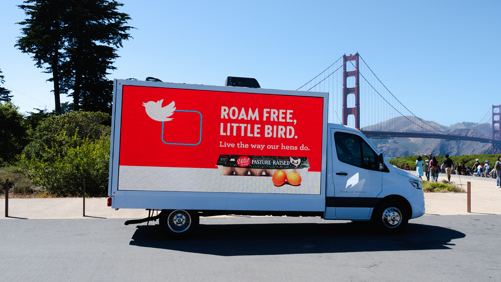 roam-free.png