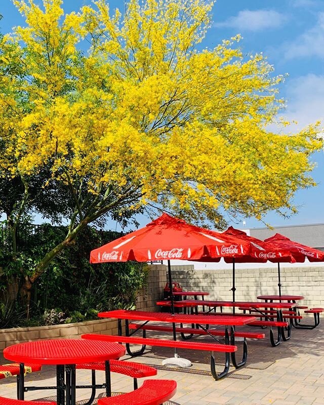 We have opened our tables in the back of our restaurant for your dining pleasure. Open 7 Days 10AM-8:30pm Sundays till 8 PM. Enjoy!!! ##ElBurritoRedlands #Redlands #ElBurrito #HandrolledFlourTortillas #WillHaveTacosSoon