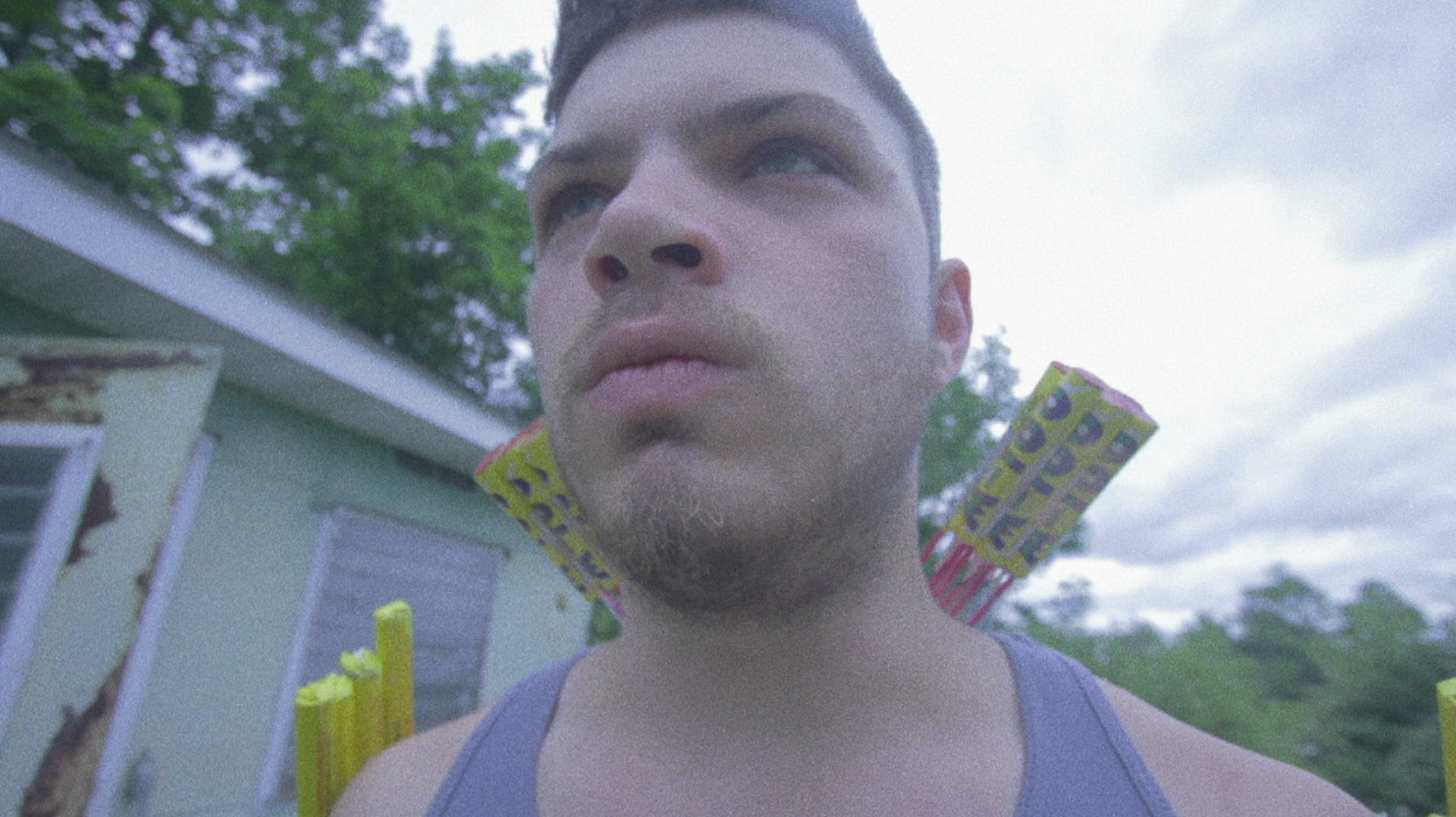 Mandolin in the Wind