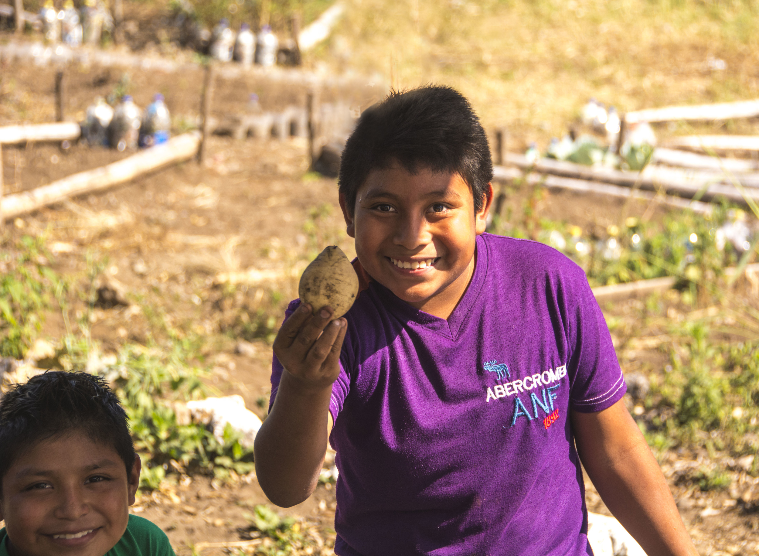   Student with Sweet Potato. &nbsp;In the garden at Nueva Vida School, San Lucas Toliman, Guatemala.  