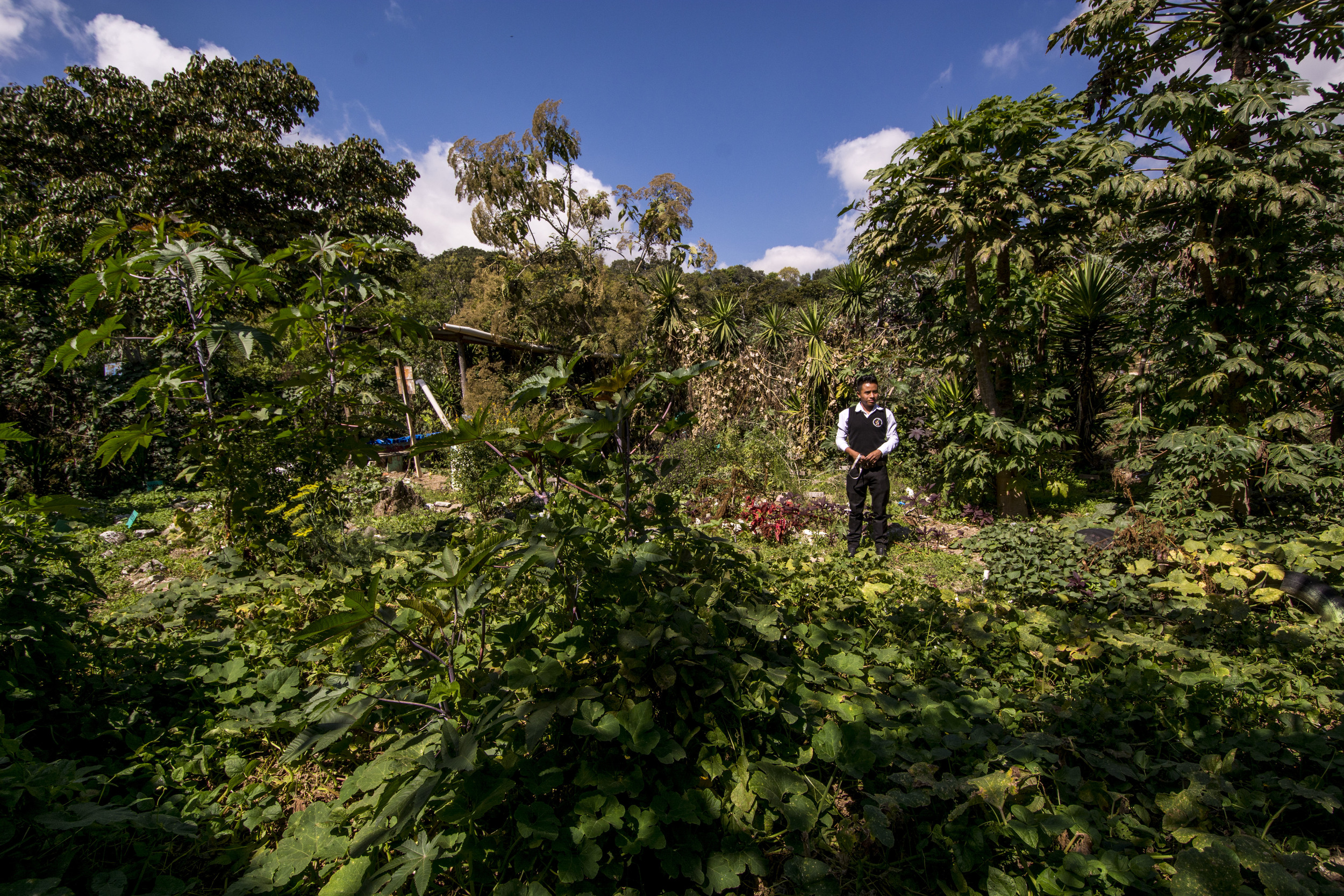  A teacher shows us the Chacaya Organic School garden, Cahcaya, Santiago Attitlan, Guatemala 