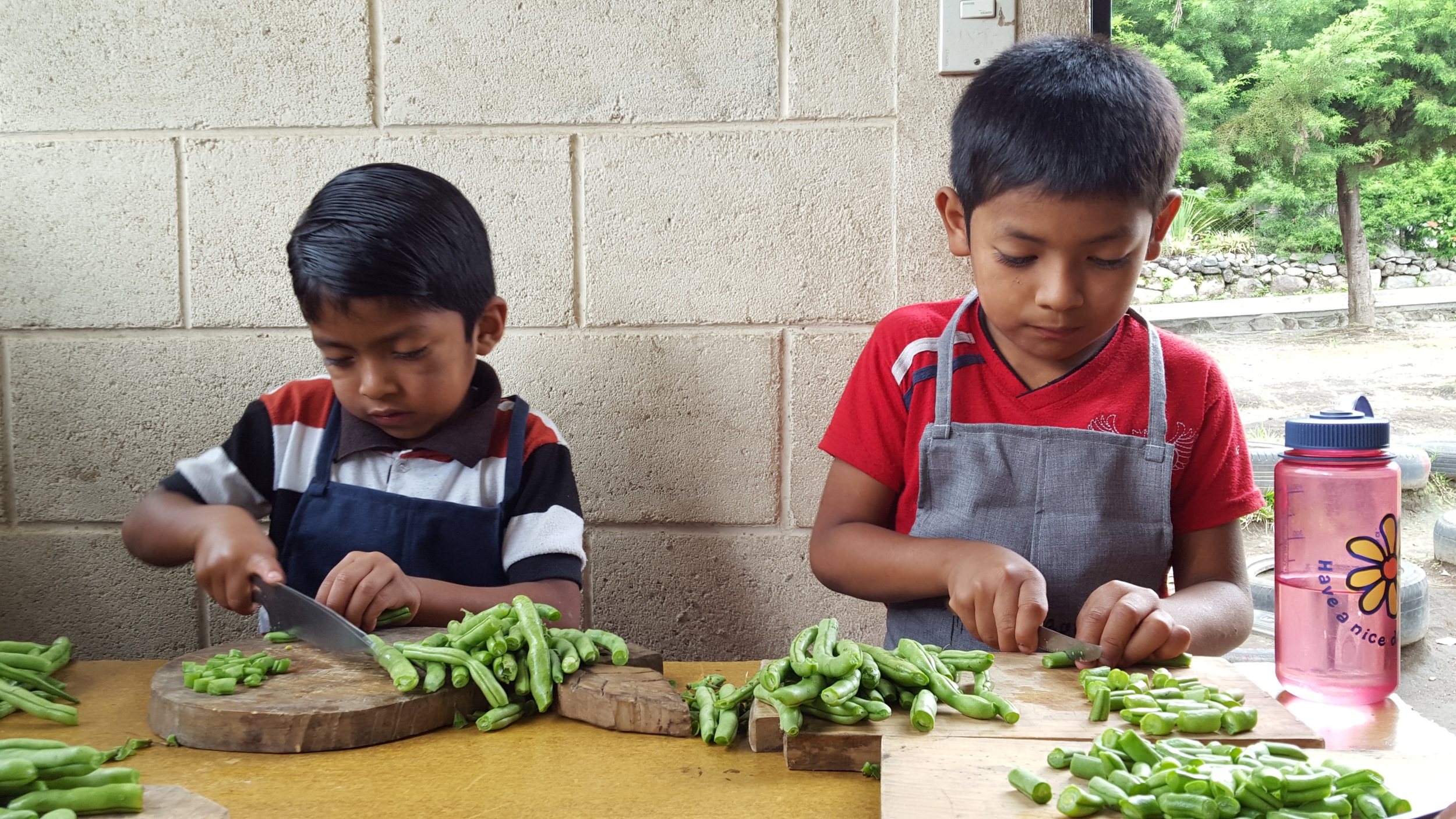  Preparing the harvest for the school lunch. &nbsp; &nbsp; &nbsp;(Photo courtesy of Pueblo a Pueblo) 