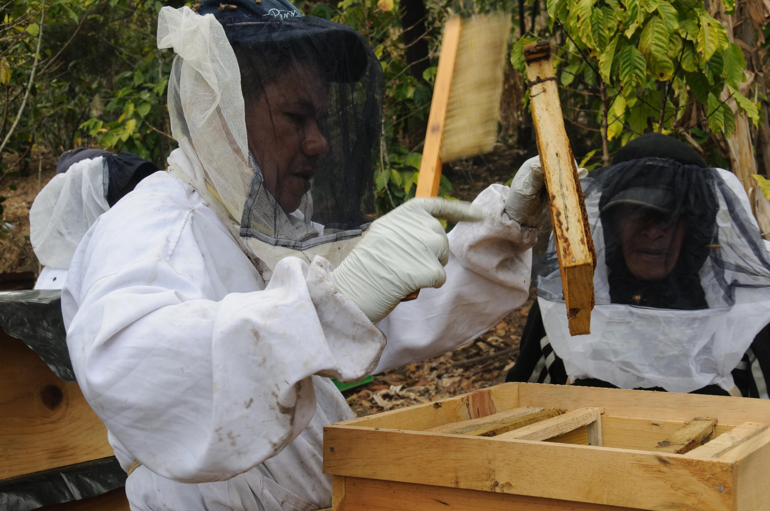  Beekeepers in San Pablo during their first harvest 