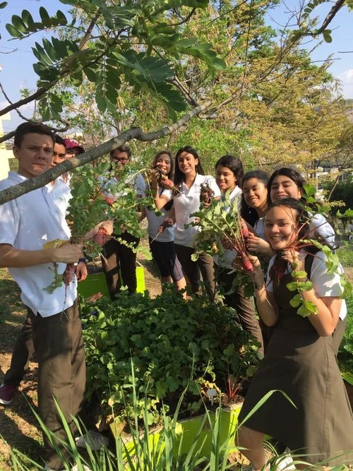 DelCampo a Su Hogar - Programa Agronómico de DCIS