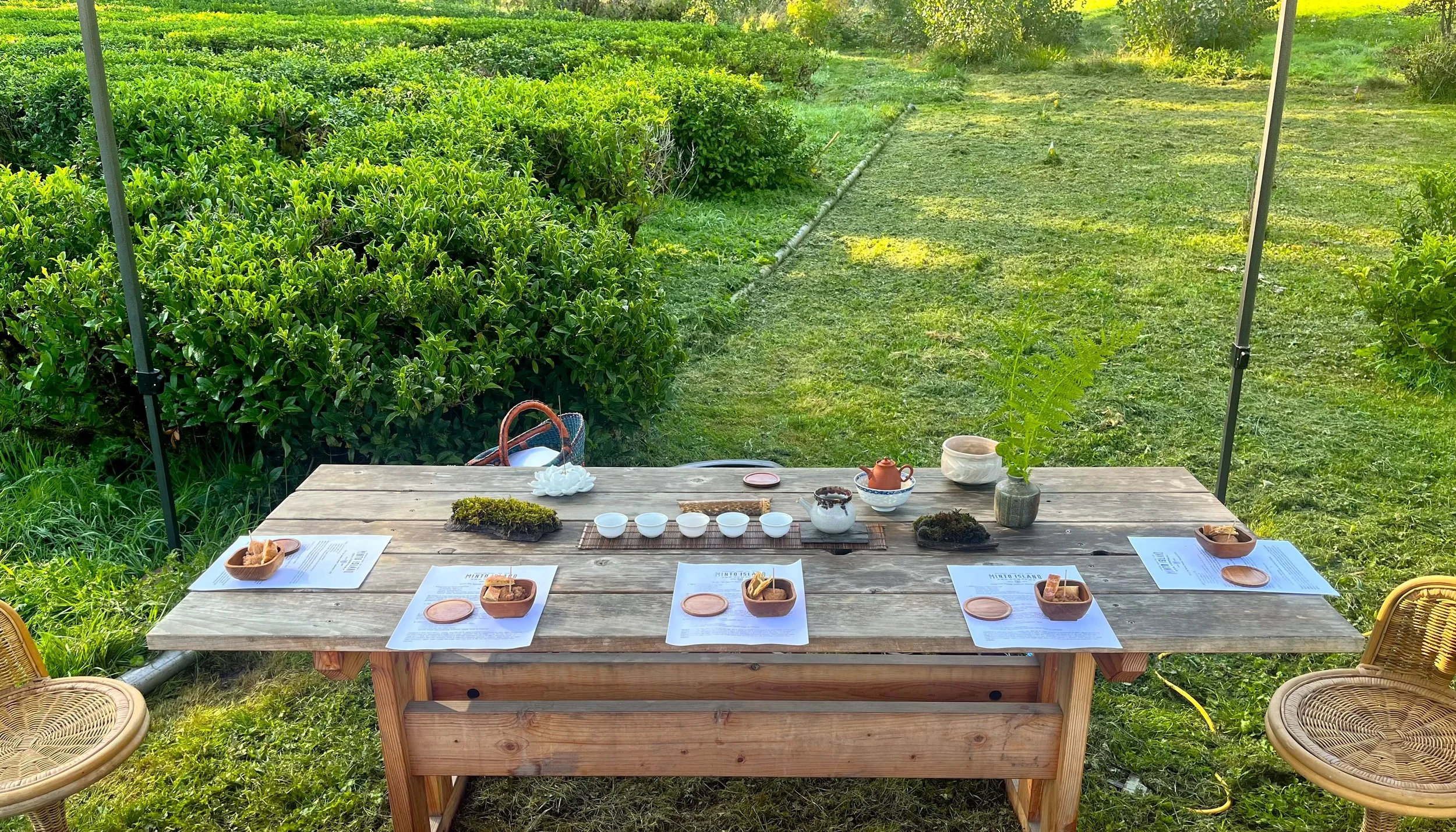 Tours — Minto Island Tea Company
