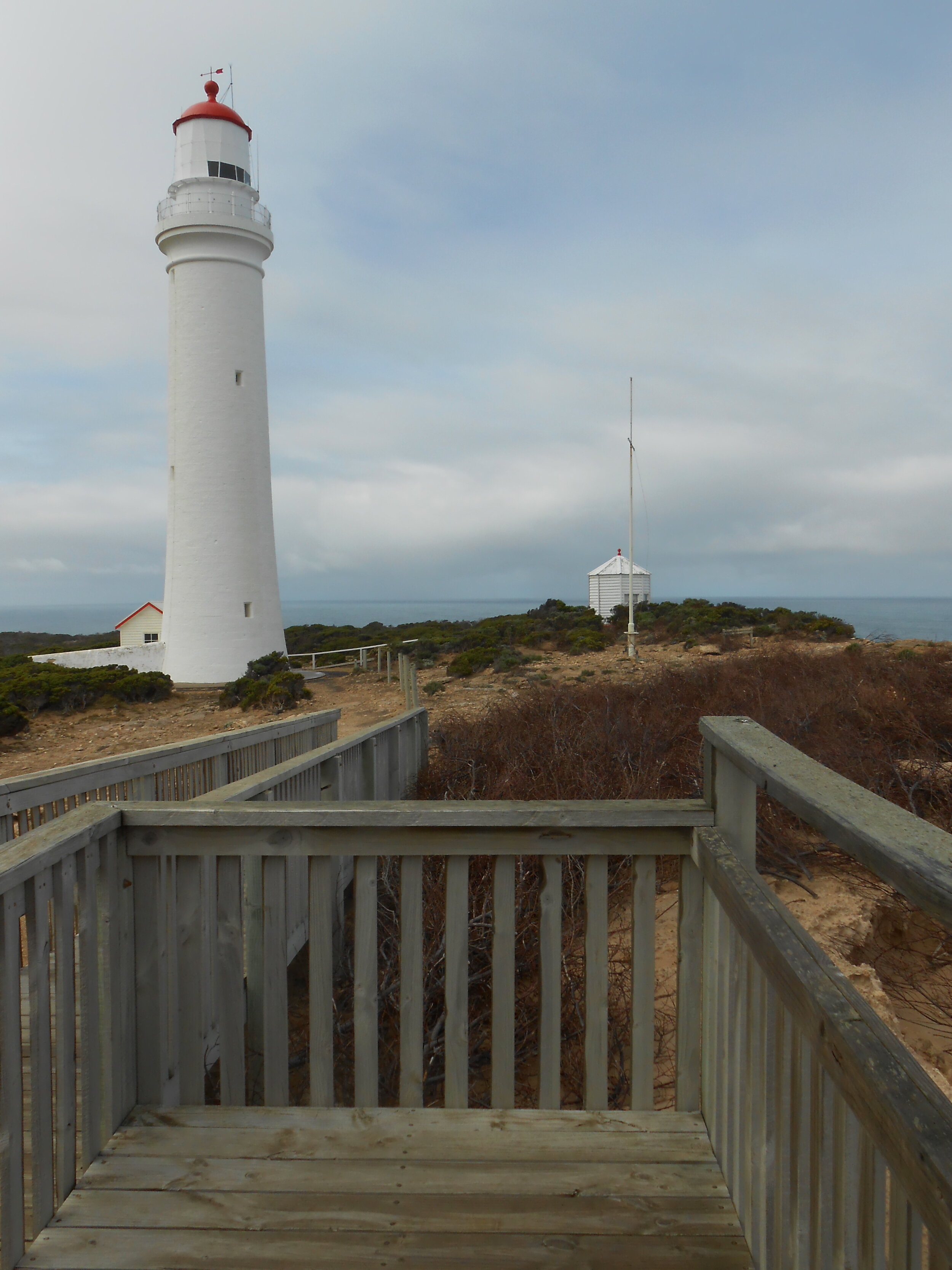 Cape Bridgewater