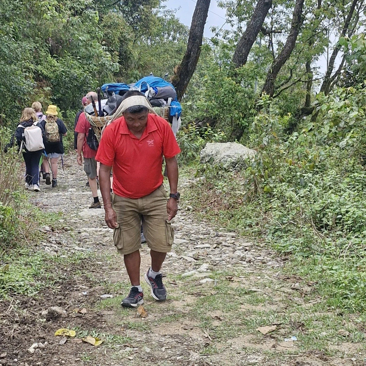 nepaltrekking.jpg