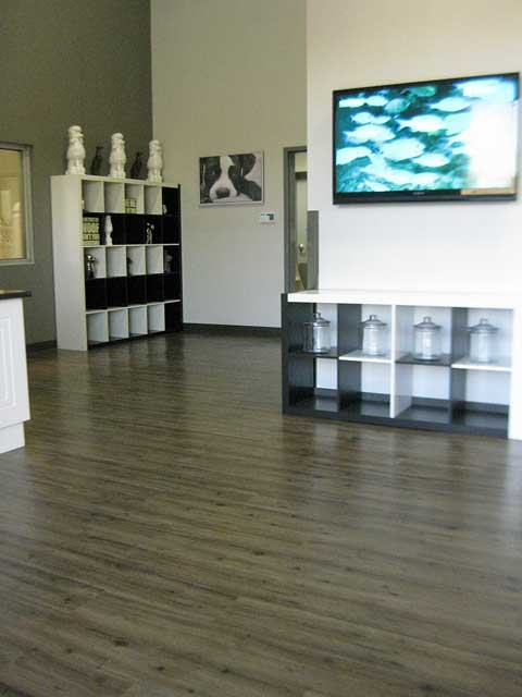Gallery Commercial Carpet Flooring Services Inc