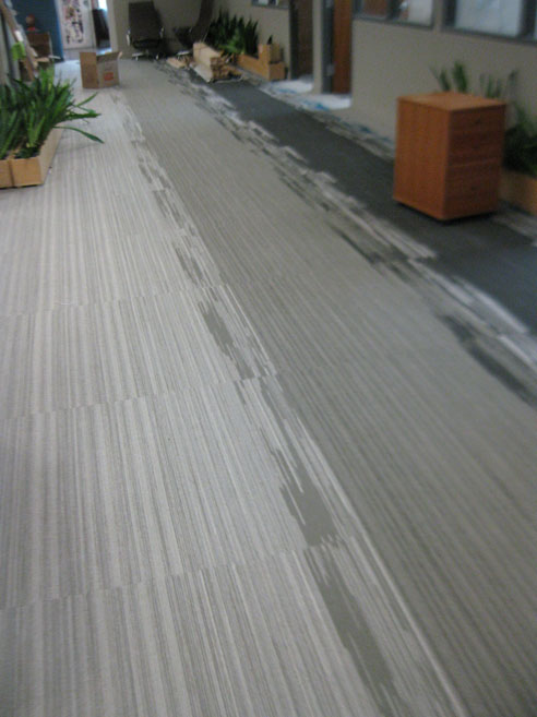 Eco Friendly Commercial Carpet Flooring Services Inc