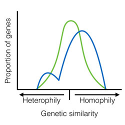 fig-1.jpg