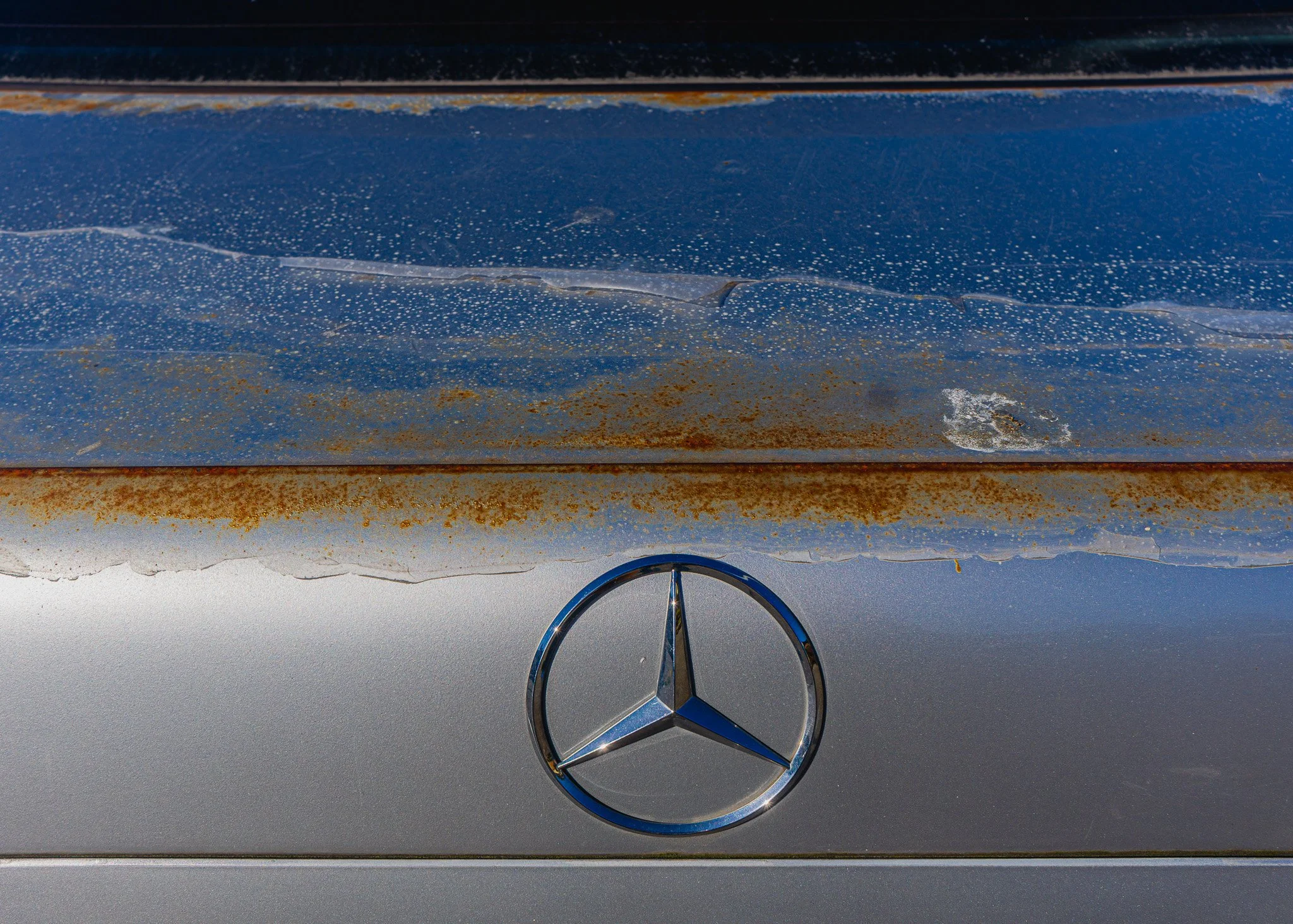 _DSC8999.jpg