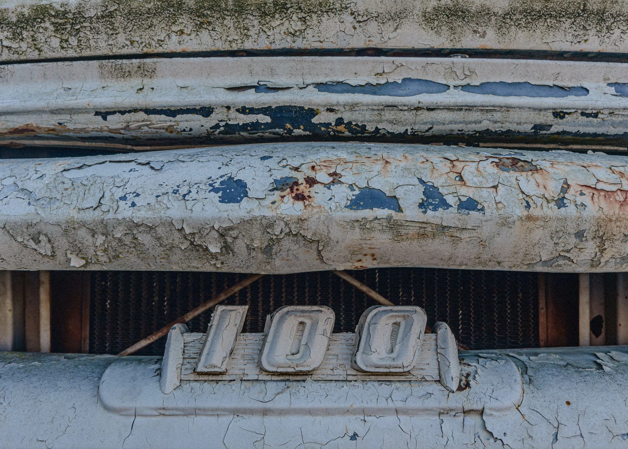 _DSC9170.jpg