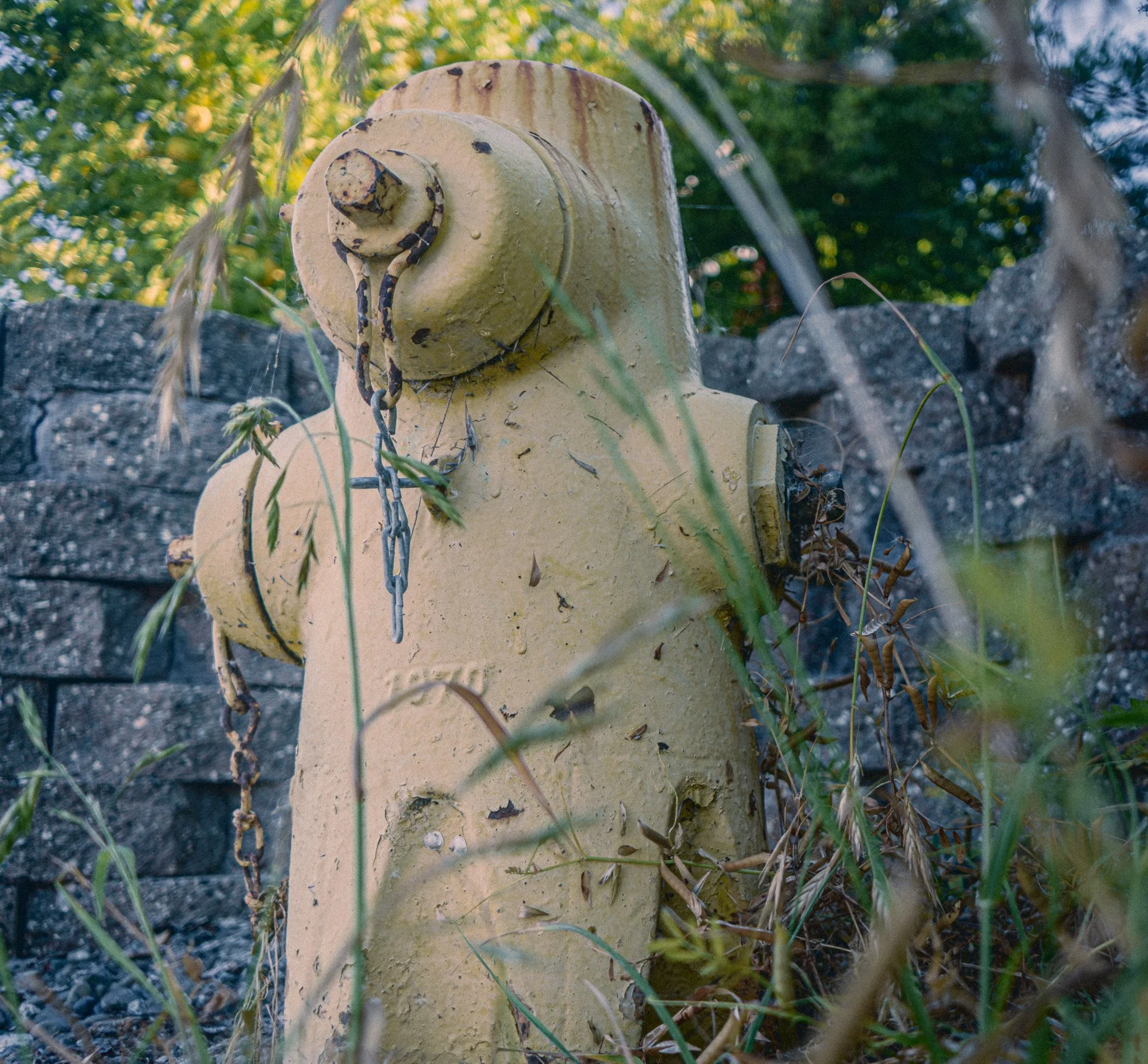 _DSC9174.jpg