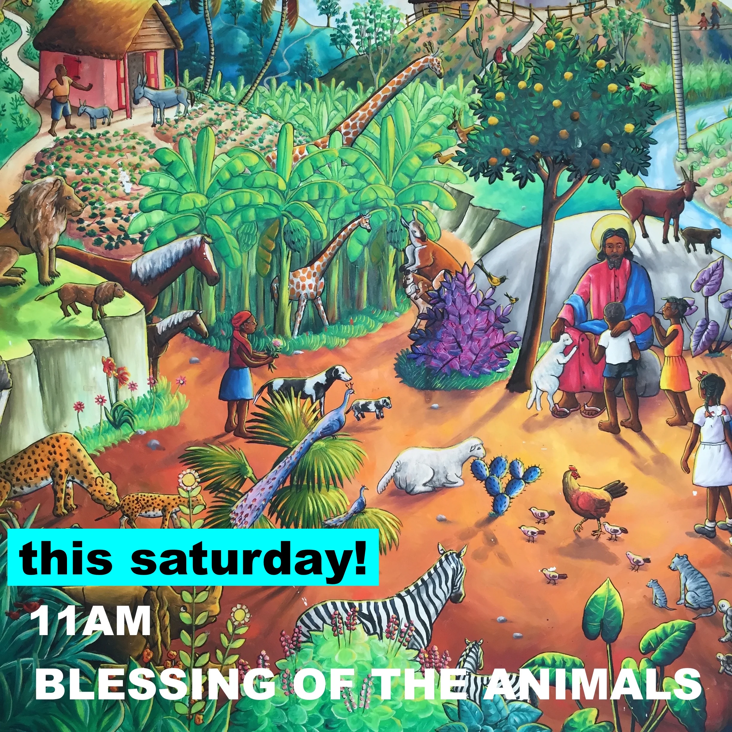 animal blessing copy.jpg