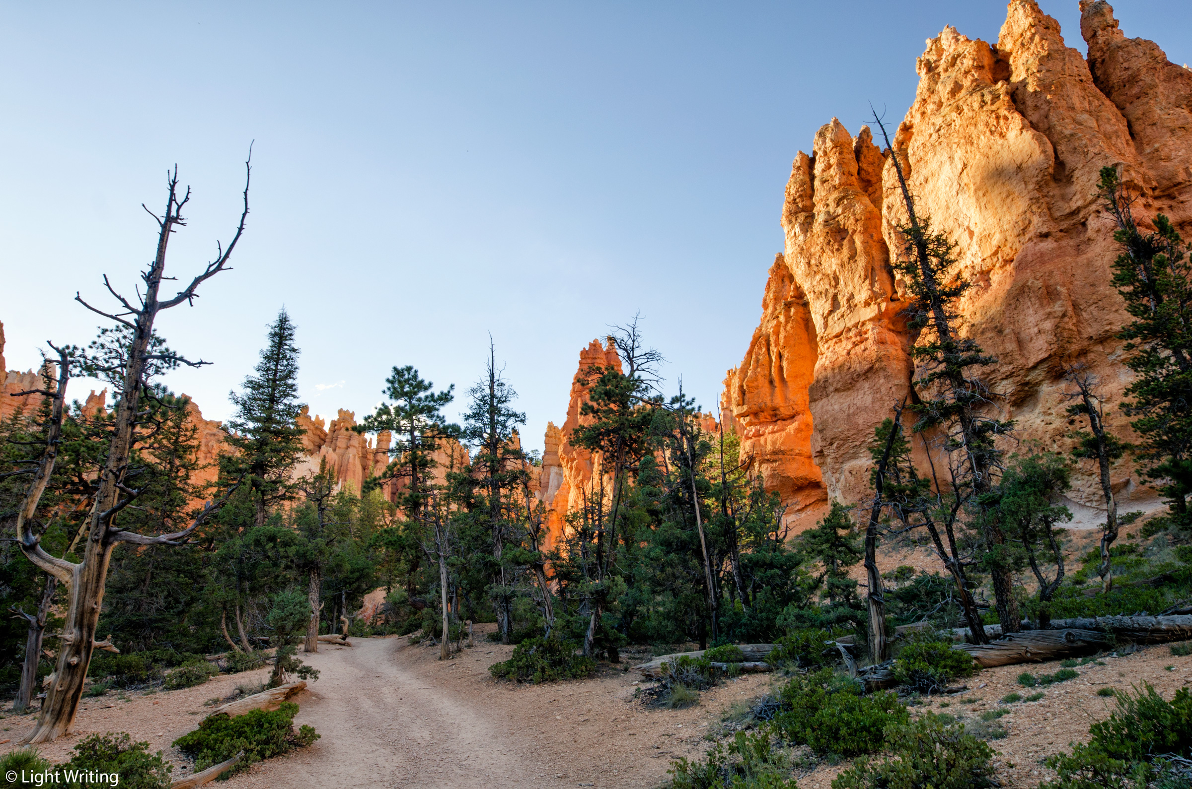 Navajo-down_DSC5250.jpg