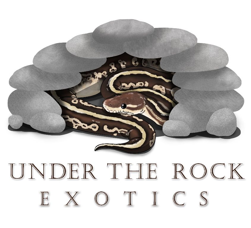 under_the_rock_exotics_logo.jpg