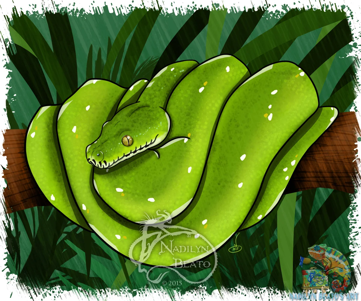 Green Tree Python