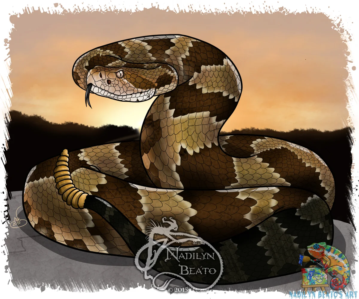 Timber Rattlesnake 