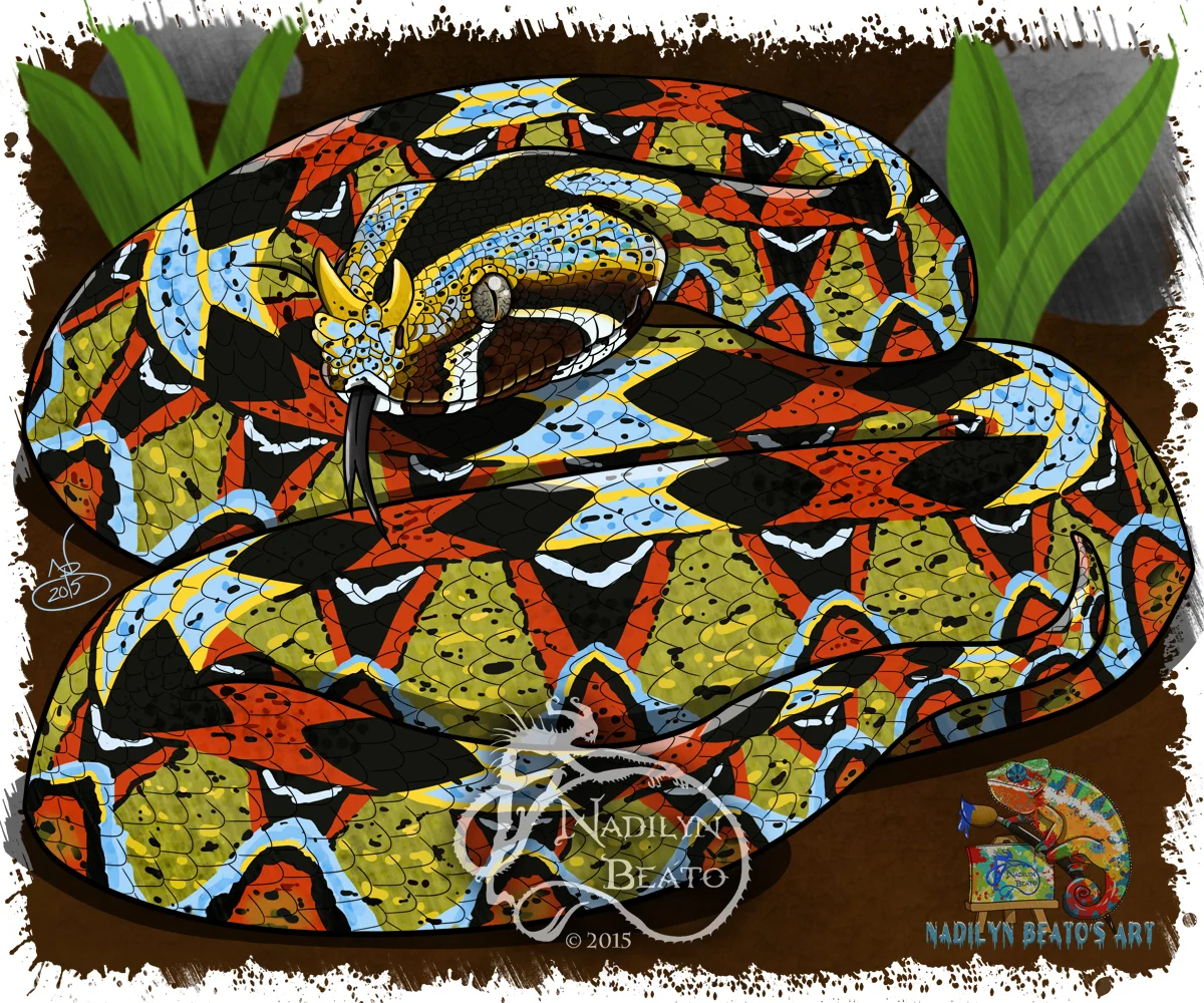 Rhino Viper 