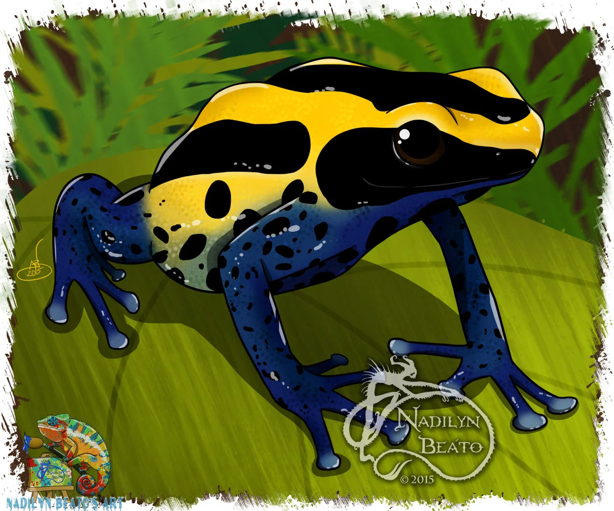 Cobalt Tinc Dart Frog