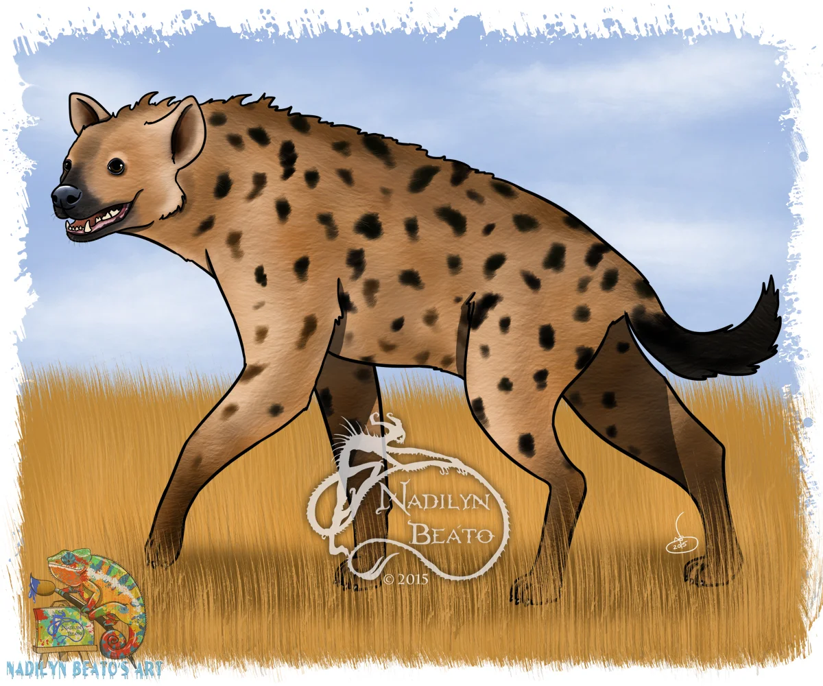 Spotted Hyena 