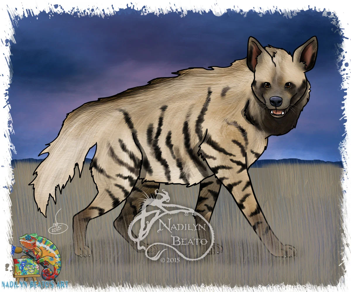 Striped Hyena 