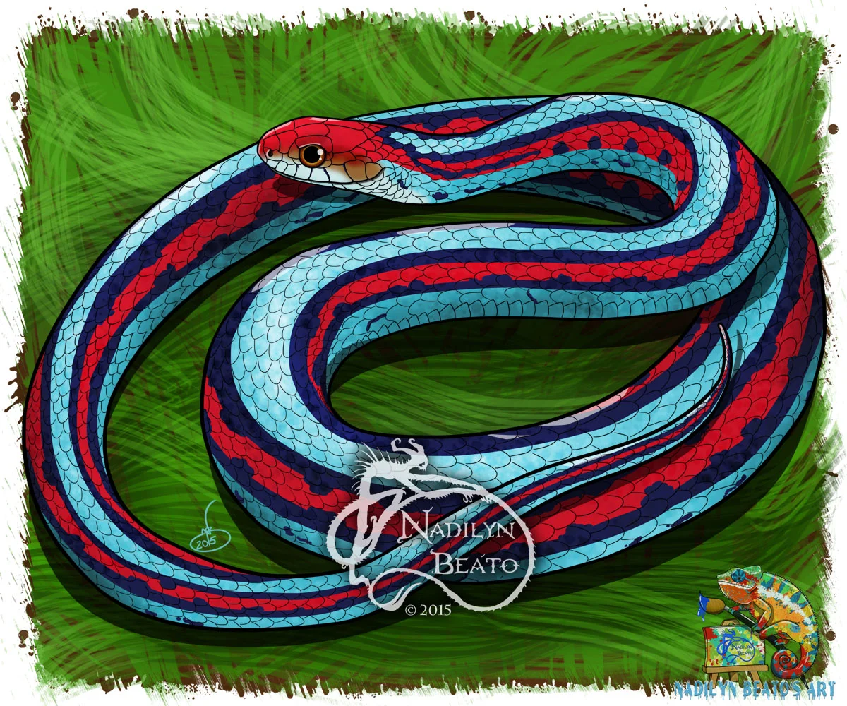 San Francisco Garter Snake