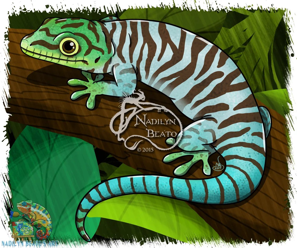 Standing's Day Gecko Hatchling 