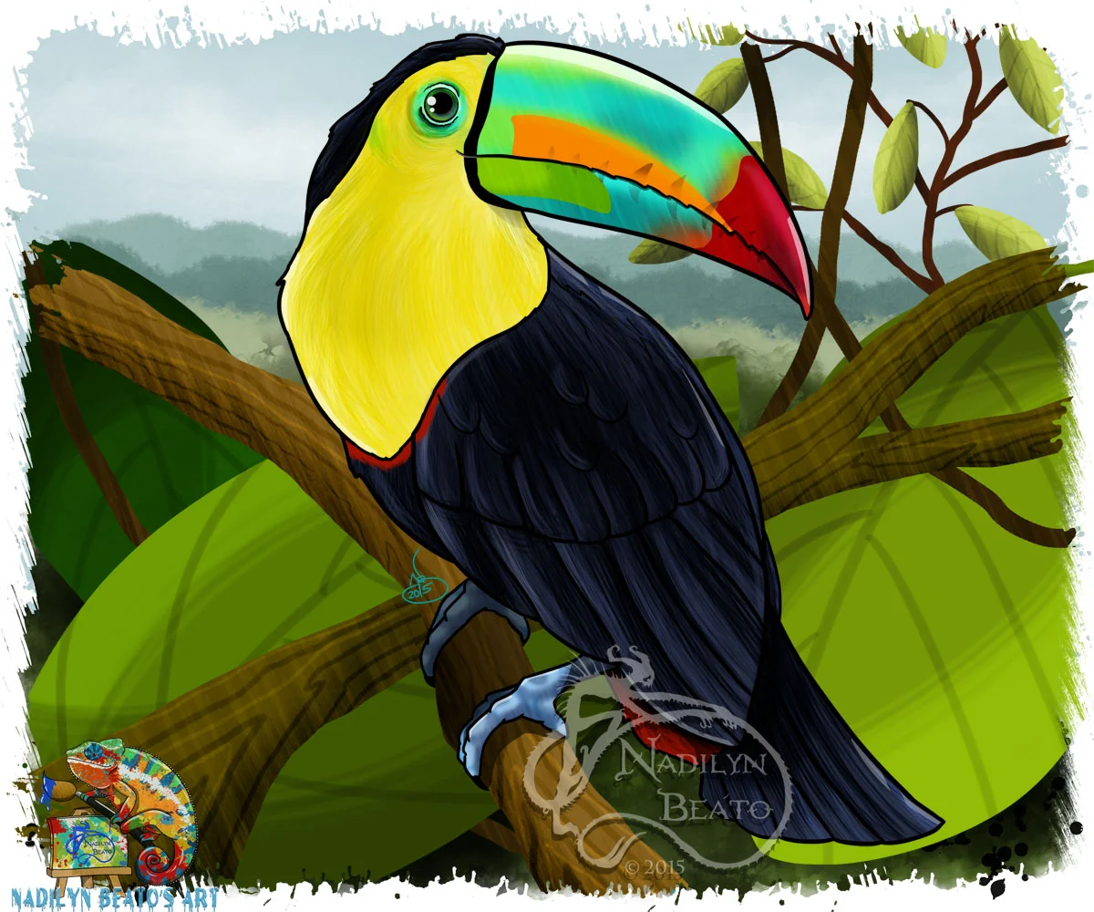 Keel-Billed Toucan