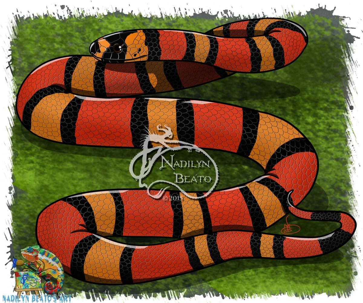 Tangerine Honduran Milksnake