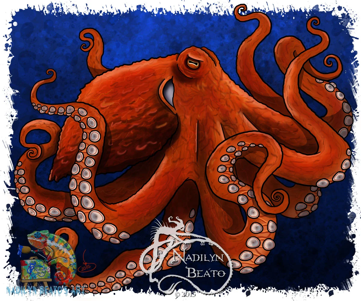 Giant Pacific Octopus