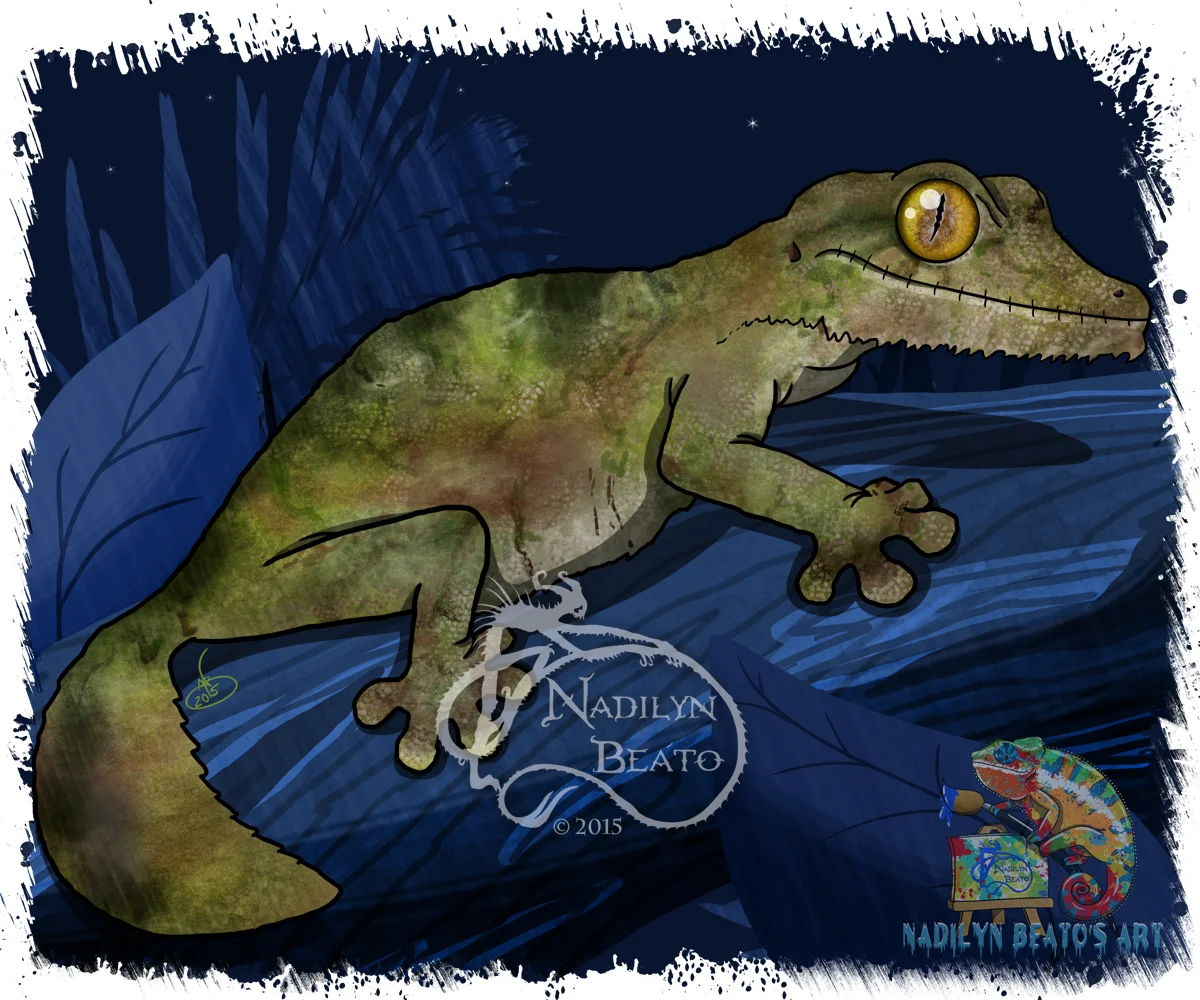 Mossy Leaf Tailed Gecko