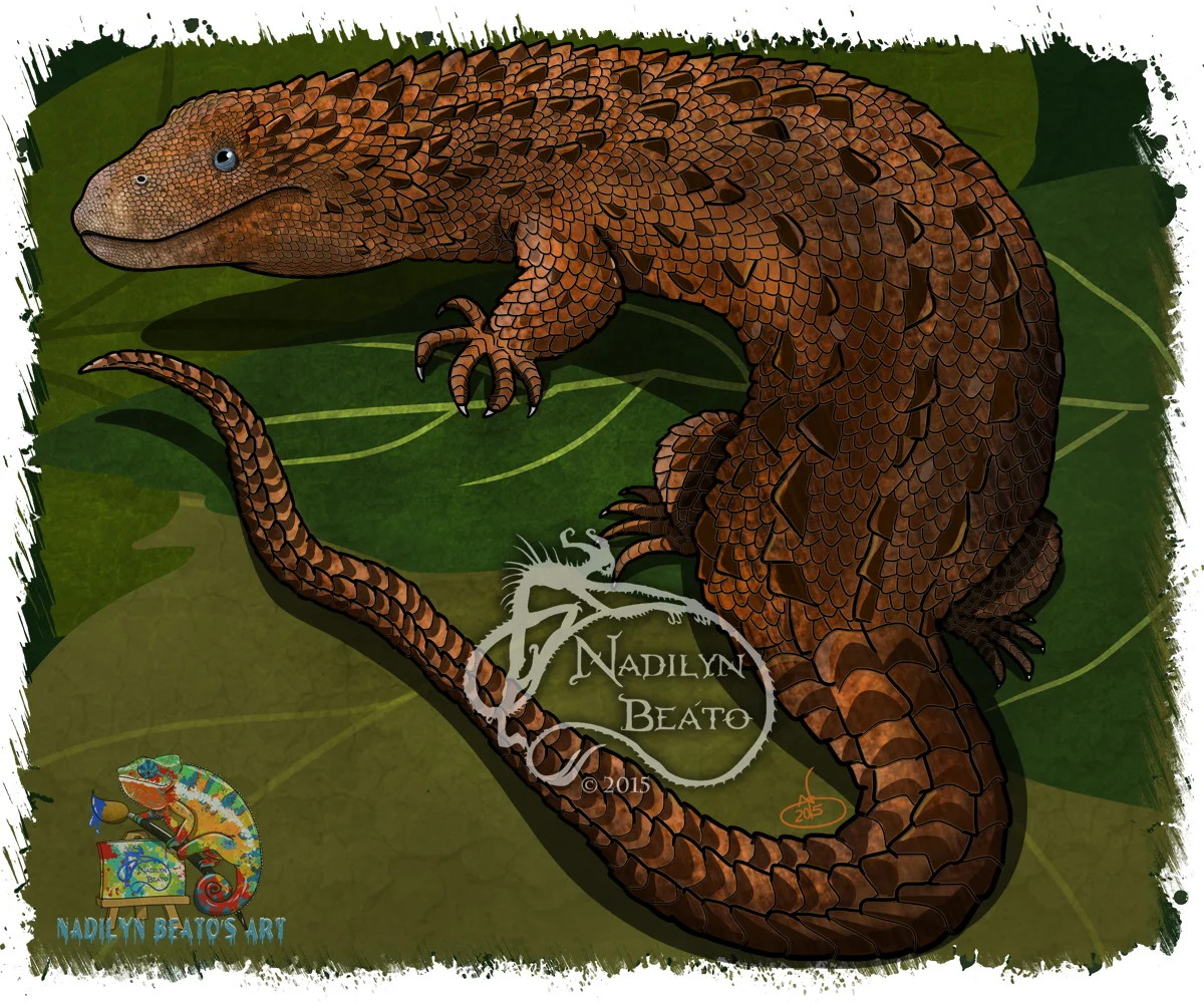 Borneo Earless Lizard "Lanthanotus borneensis"