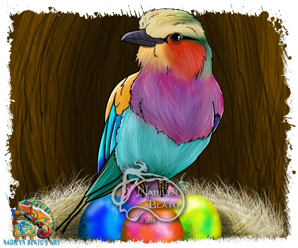 Easter Lilac-breasted Roller