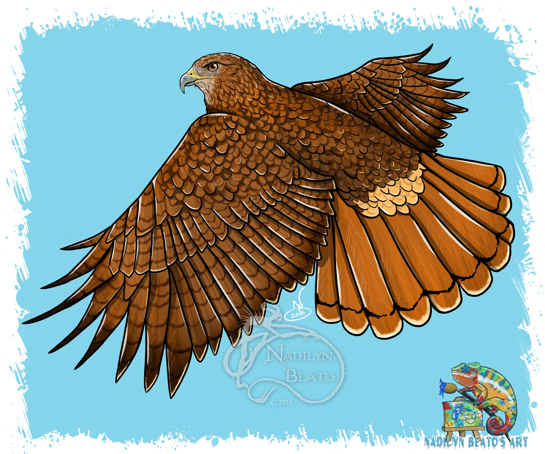 Red-Tailed Hawk
