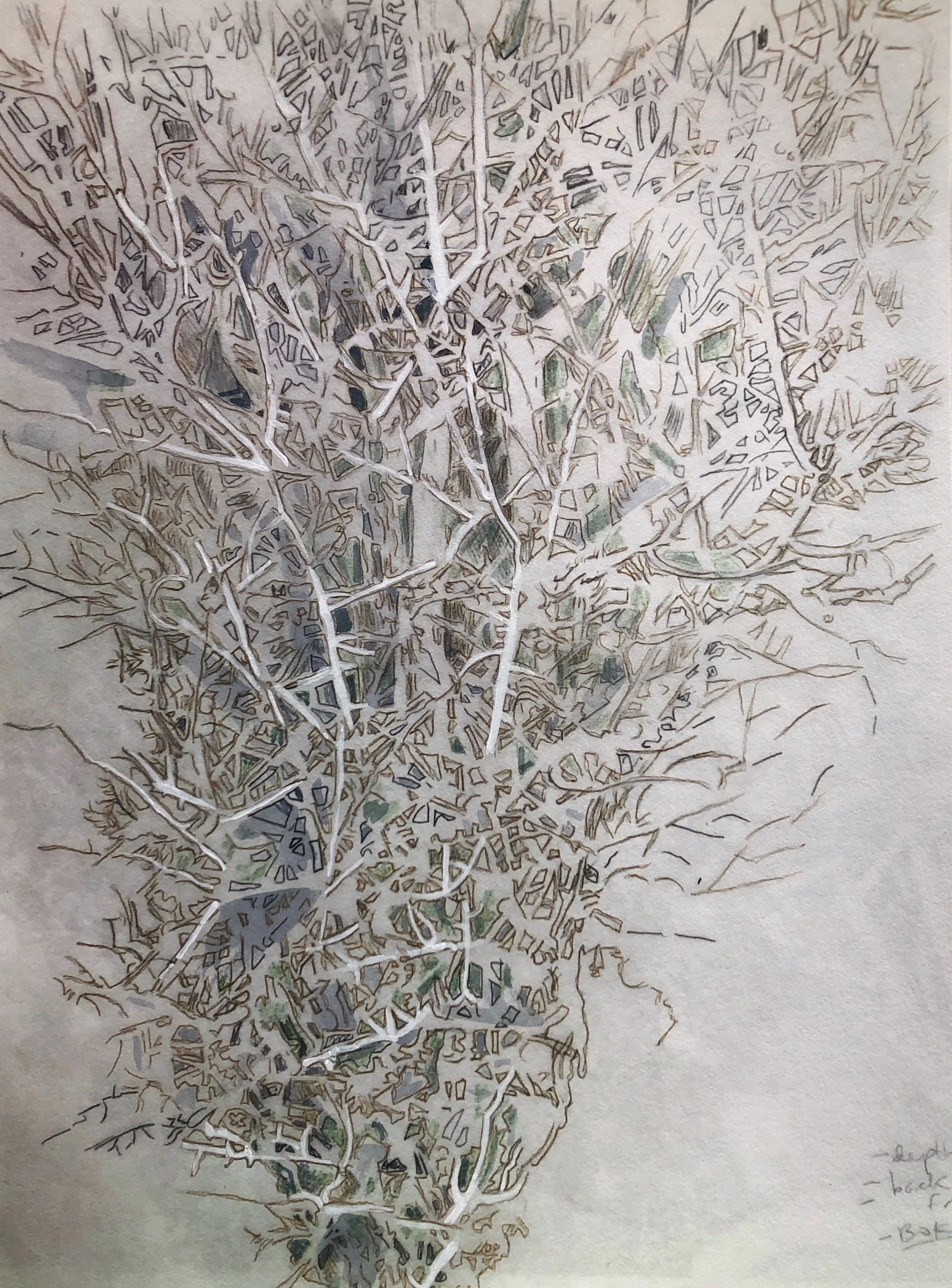  in progress - digital, trace monotype, hand coloring   