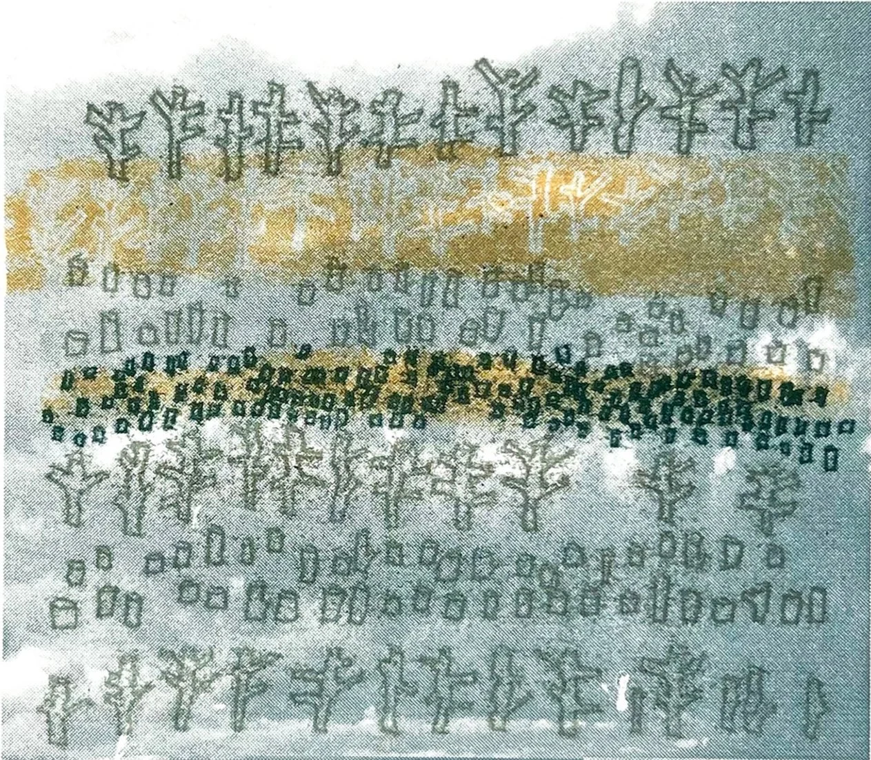 Sitka Trees and Stumps