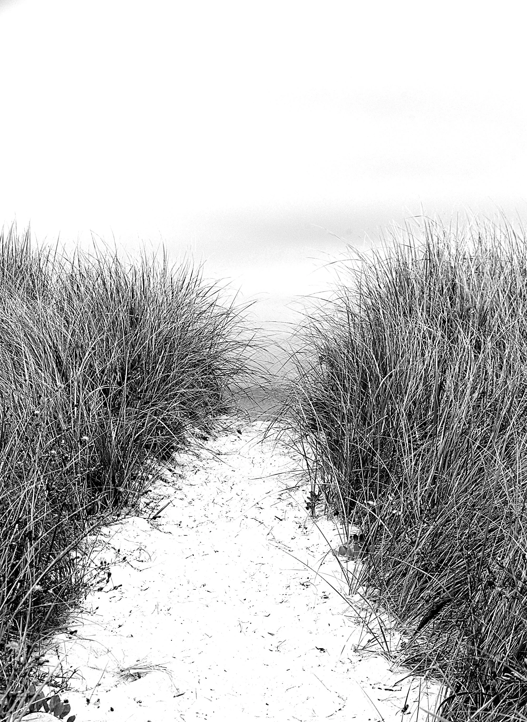 Beach 4.jpg