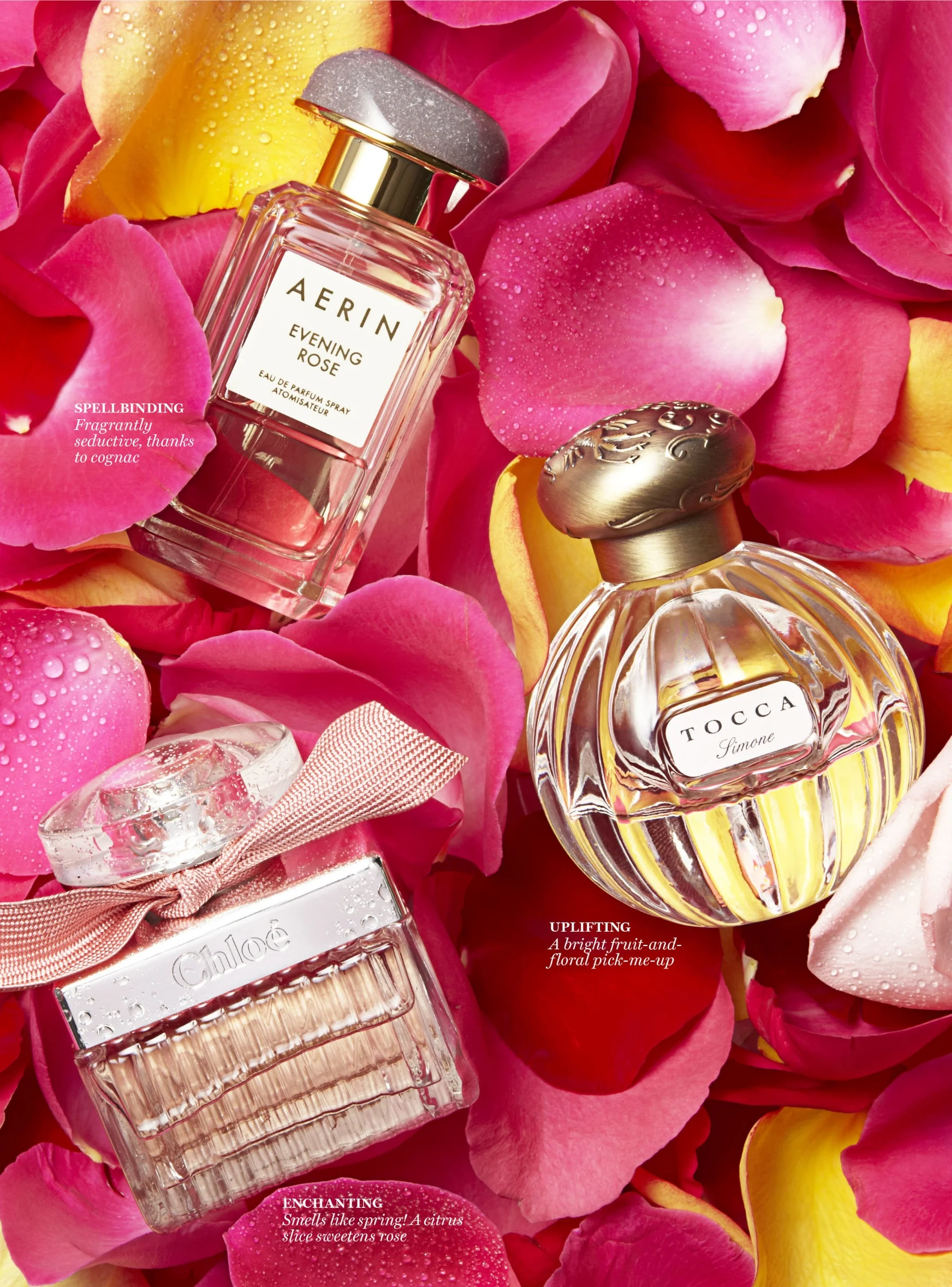 GOOD HOUSEKEEPING/Stuart Tyson