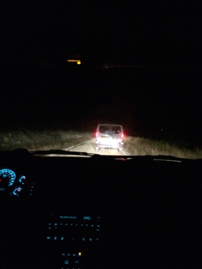 Runners to the left of the van. Questionable wildlife to the right. Good job, Devin!