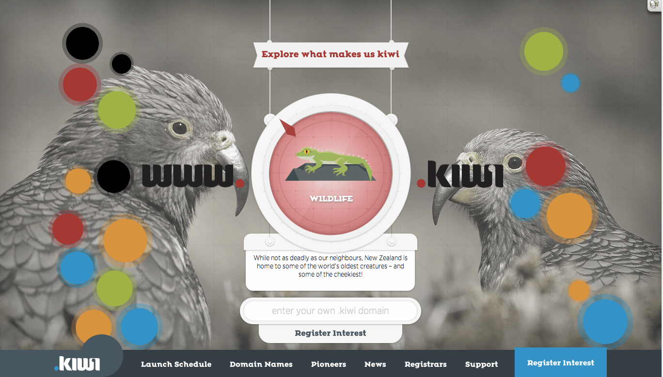 dot kiwi image 5.png