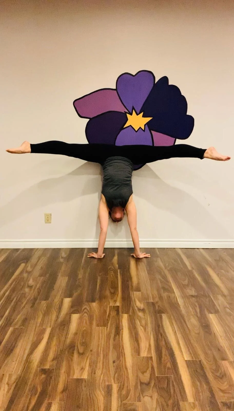 FREE Virtual Handstands Class!