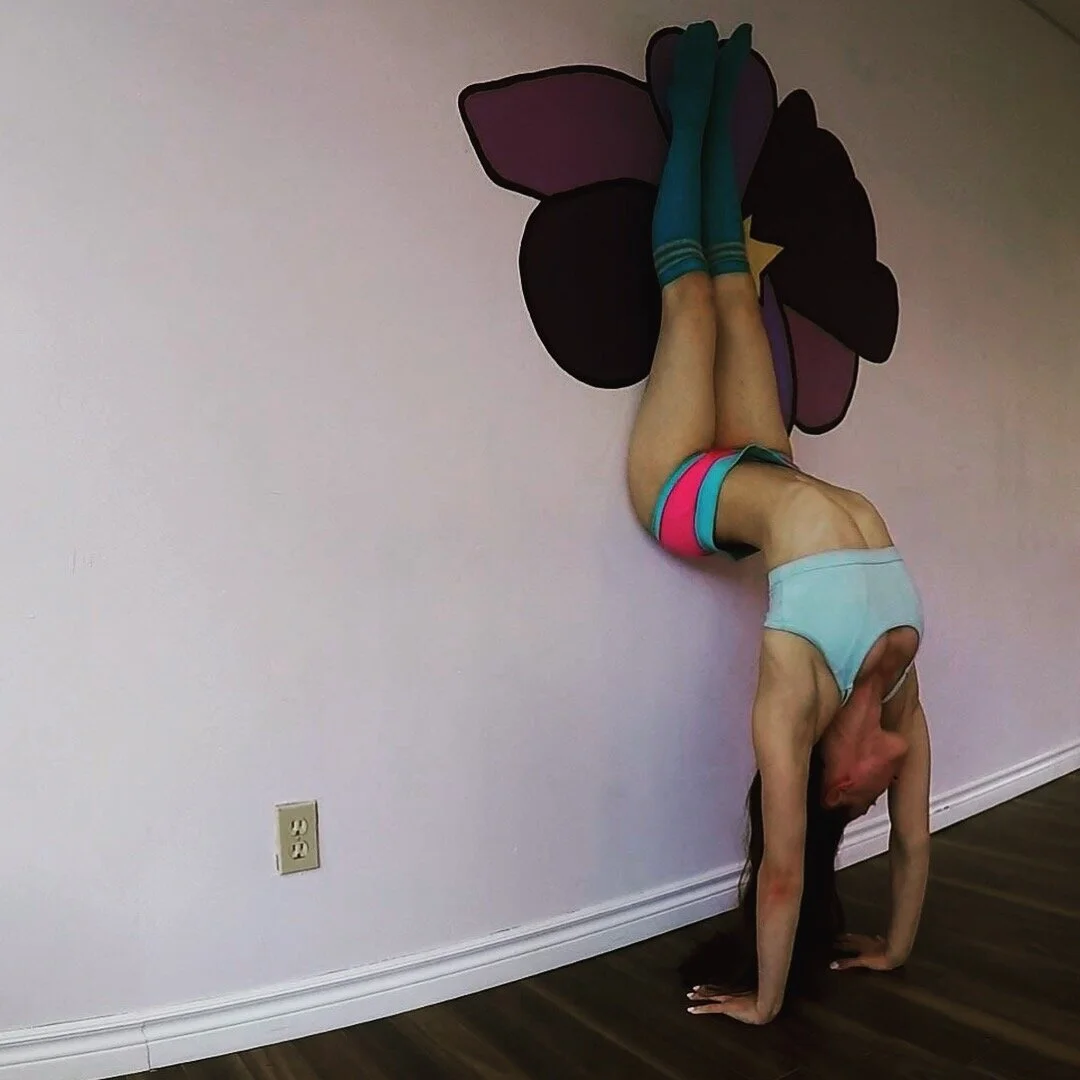 6-Week Flexibility Workshop!