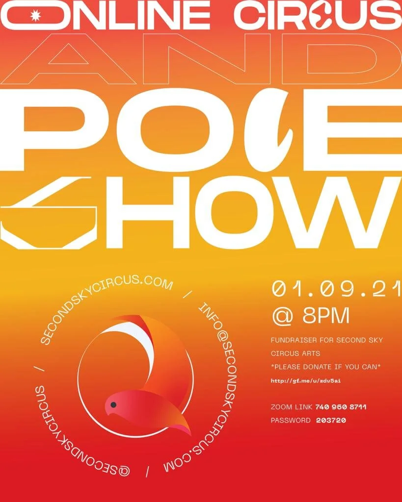 Second Sky Online Fundraiser! 