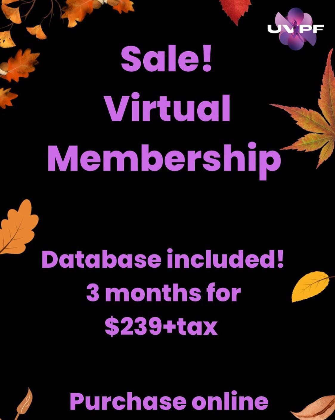 🍂Fall vibes and a back to school offer just for you🧡
.
Our Virtual Membership is now 239$ for 3 months (database included) ➡️Offer ends Sept 15🥰Don&rsquo;t miss this✨
.
.
#fall #falloffer #fallvibes #deals #getit #virtualstudio #backtoschool #stre