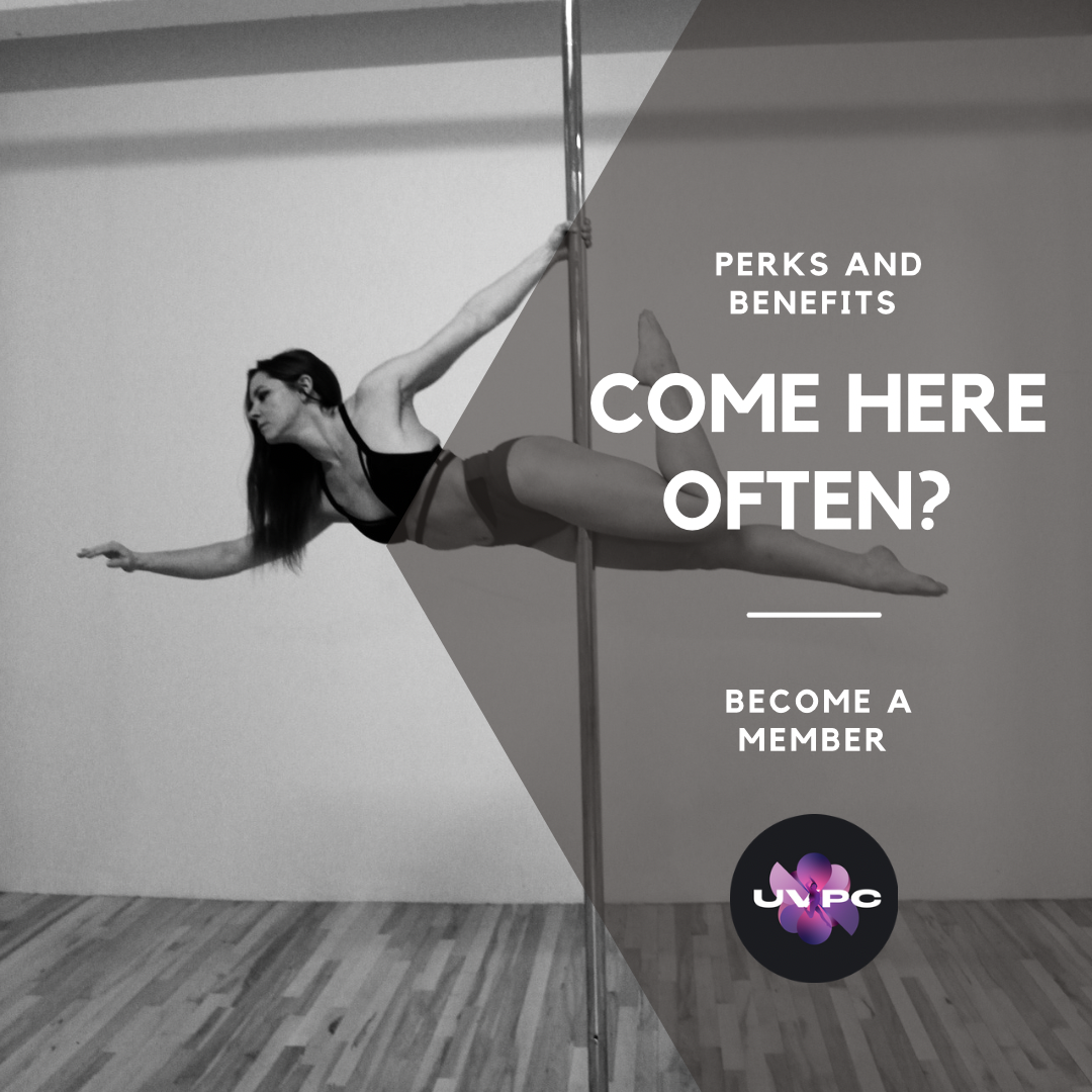 Learn Aerial Silks, Lyra, Pole Dance and more