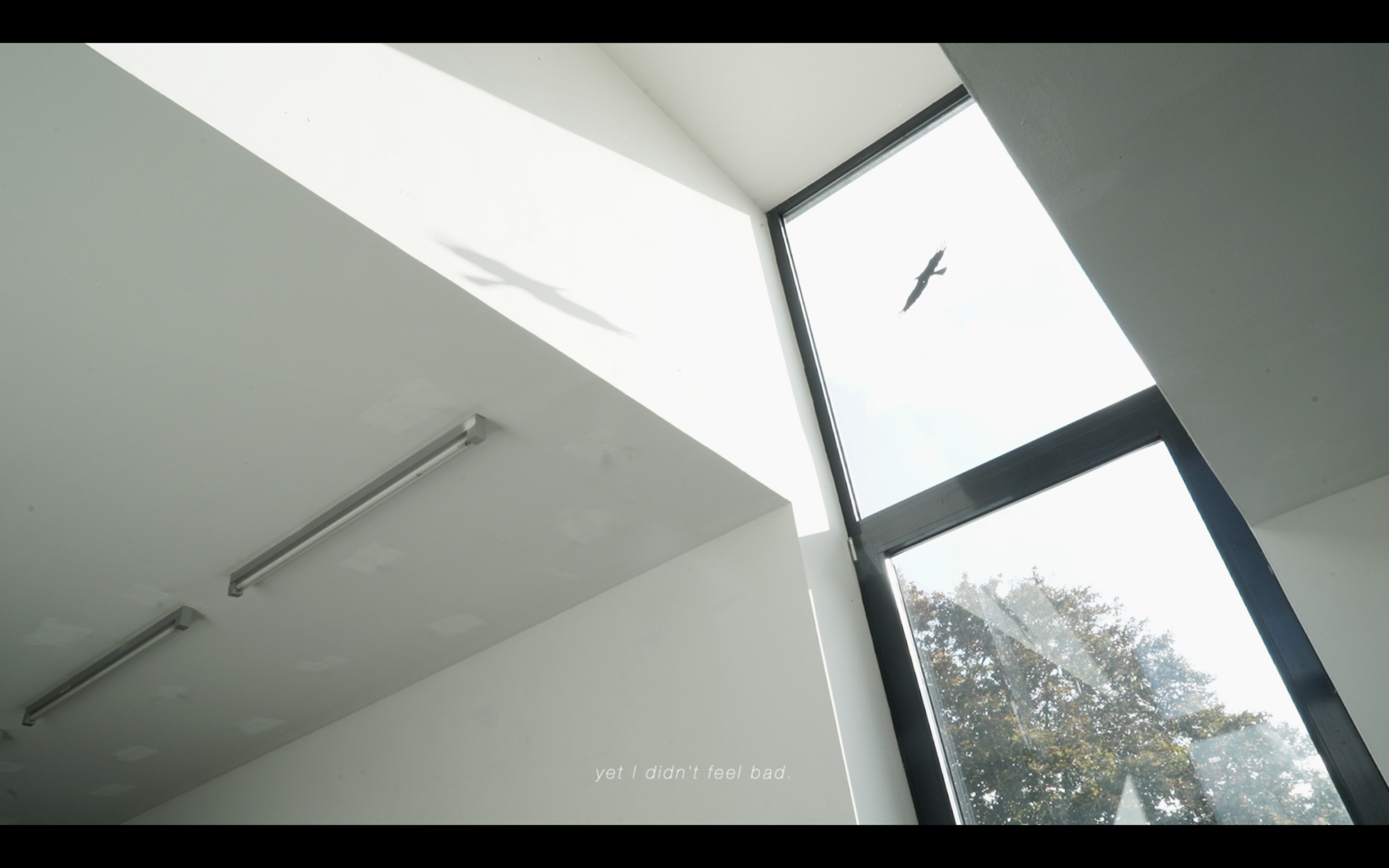스크린샷 2021-12-02 01.13.43.png