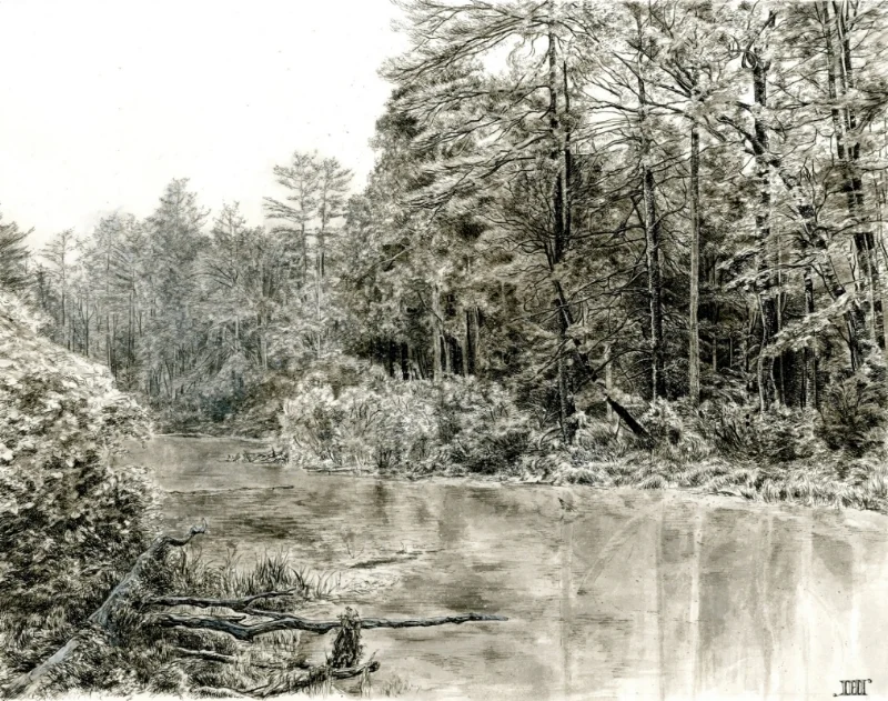 High Summer on Laurel Run