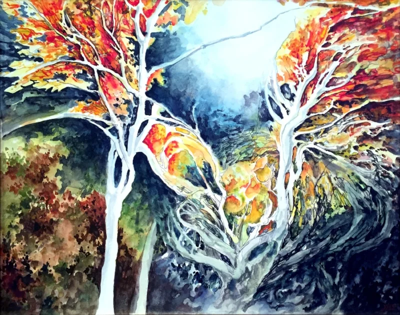 Indian View I: The Sun Bear