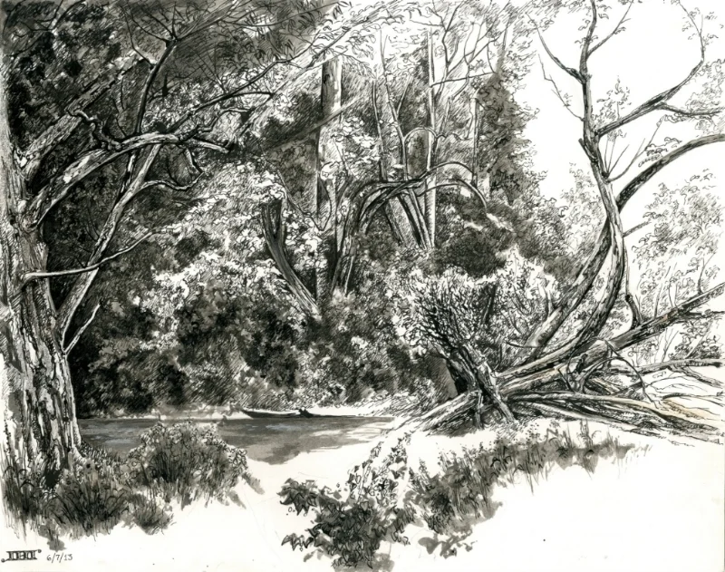 Elk Creek, Summer Mist and Rain